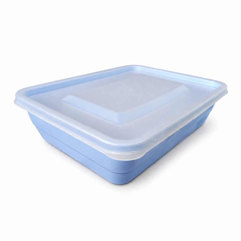 Medium Square Container and Lid